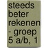 Steeds beter rekenen - groep 5 A/B, 1
