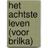 Het achtste leven (voor Brilka)