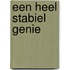 Een heel stabiel genie