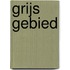 Grijs gebied