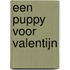 Een puppy voor Valentijn