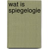Wat is Spiegelogie door Willem de Ridder