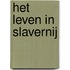 Nederland & de slavernij
