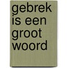 Gebrek is een groot woord door Nina Polak