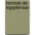 Tamose de Egyptenaar
