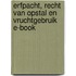 Erfpacht, recht van opstal en vruchtgebruik E-book