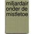 Miljardair onder de mistletoe