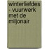 Winterliefdes - Vuurwerk met de miljonair