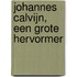 Johannes Calvijn, een grote hervormer