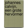 Johannes Calvijn, een grote hervormer door Trijntje Zegers-Venema