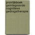 Praktijkboek geïntegreerde cognitieve gedragstherapie