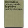 Praktijkboek geïntegreerde cognitieve gedragstherapie door Steven Meijer