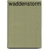 Waddenstorm