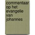 Commentaar op het Evangelie van Johannes