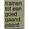 Trainen tot een goed gaand paard door Lammert Haanstra