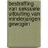 Bestraffing van seksuele uitbuiting van minderjarigen gewogen
