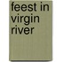 Feest in Virgin River