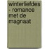 Winterliefdes - Romance met de magnaat