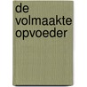 De volmaakte Opvoeder door Ds. G.J. Capellen