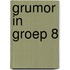 Grumor in groep 8