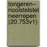 Tongeren– Rioolstelstel Neerrepen (20.753V1)
