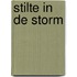 Stilte in de storm