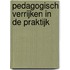 Pedagogisch VErrijken in de praktijk