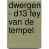 Dwergen - D13 Fey van de Tempel door Jarry