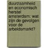 Duurzaamheid en economisch herstel Amsterdam: Wat zijn de gevolgen voor de arbeidsmarkt?