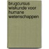 Brugcursus wiskunde voor humane wetenschappen