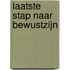 Laatste stap naar bewustzijn