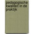 Pedagogische kwaliteit in de praktijk