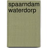 Spaarndam Waterdorp door Thea de Roos-van Rooden