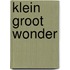 Klein groot wonder