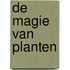 De magie van planten