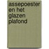 Assepoester en het glazen plafond