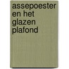 Assepoester en het glazen plafond by Laura Lane