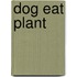 Dog eat plant