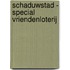 Schaduwstad - special Vriendenloterij