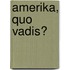 Amerika, quo vadis?