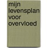 Mijn Levensplan voor Overvloed door Kim Michaels