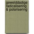 Gewelddadige radicalisering & polarisering