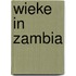 Wieke in Zambia