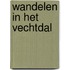 Wandelen in het Vechtdal