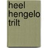 Heel Hengelo trilt
