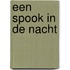 Een spook in de nacht