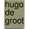 Hugo de Groot door Marleen van Zwienen