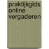 Praktijkgids Online vergaderen