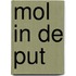 mol in de put