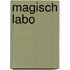Magisch Labo